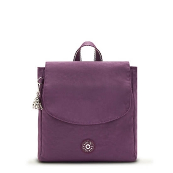 Kipling Dannie Small Backpacks Purple | AU3594JUD